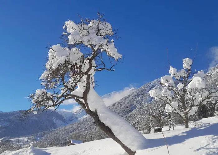 דירה Haus Hotz לאנדק