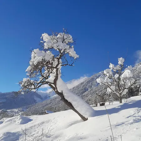 Appartement Haus Hotz Landeck
